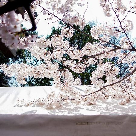 Tora Hotel Tokyo-Kitaueno 寅ホテル北上野 Exteriér fotografie